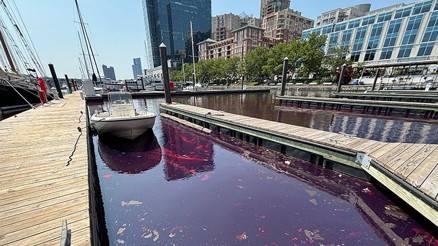 Binlerce litre mazot hastaneden denize sızdı