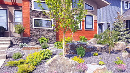 Peyzajda ‘kurak’ dönem