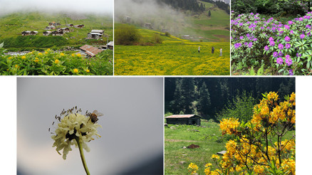 Fırtına Vadisi’nde çiçekli bir kavuşma Fırtına Vadisi’nde çiçekli bir kavuşma