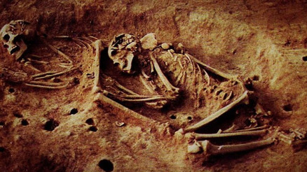 İnsanlık tarihi yeniden yazılıyor 6.000 yıllık iskeletlerden elde edilen sonuçlar bilim insanlarını şoke etti