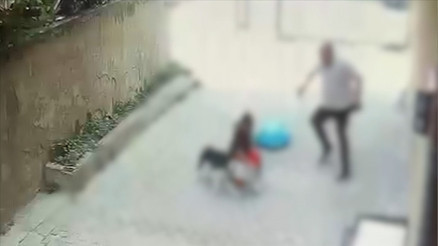 7 yaşında dehşeti yaşadı Pitbull saldırısında korkunç iddia