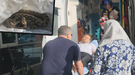 Ailesiyle pikniğe gitti, ayağını yılan ısırdı