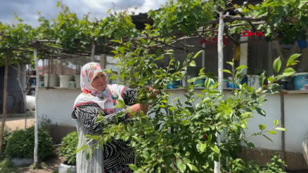 Çöpköy Mahallesi ismiyle dikkat çekiyor, halk değişmesini istemiyor Çöpköy Mahallesi ismiyle dikkat çekiyor, halk değişmesini istemiyor