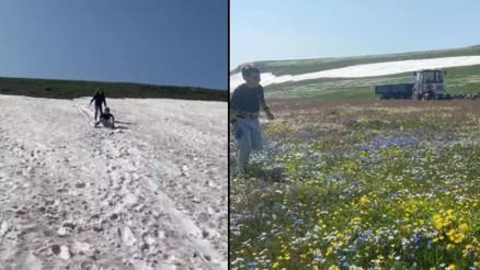 Haziran ayında yaylada aynı anda iki mevsim: Baharda açan çiçeklerle karlar aynı anda görüntülendi