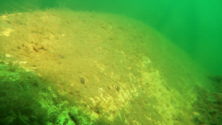 Sapanca Gölüne düşmüştü Uçağın enkazı 53 yıl sonra yeniden görüntülendi