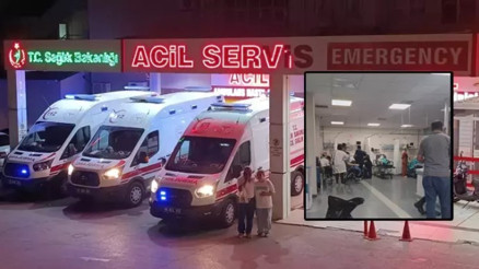 Amasyada asker eğlencesinde 39 kişi gıda zehirlenmesi şüphesiyle hastanelik oldu
