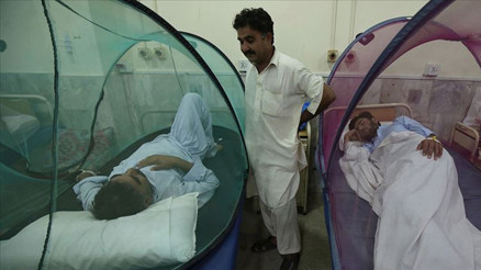 Dang hummasına karşı ittifak kuruldu