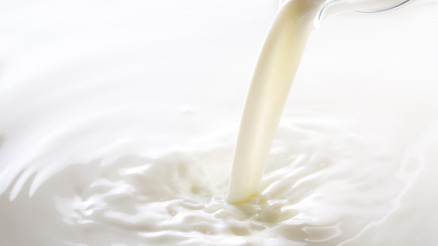 Etkisi inanılmaz: Sadece 1 su bardağı inek sütü riski yüzde 17 azaltıyor Süt ürünlerinin hangisi neye faydalı Etkisi inanılmaz: Sadece 1 su bardağı inek sütü riski yüzde 17 azaltıyor Süt ürünlerinin hangisi neye faydalı