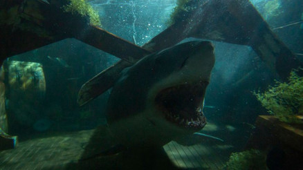 Büyük Beyaz (Great White) filmi konusu nedir, oyuncuları kimler Büyük Beyaz ne zaman vizyona girdi