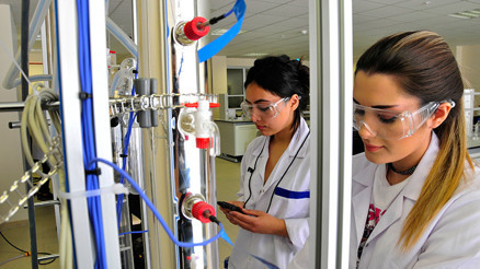 Yükseköğretimde istihdam odaklı yeni programlar