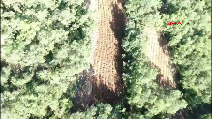 Diyarbakırda uyuşturucu operasyonu: 22 şüpheli yakalandı