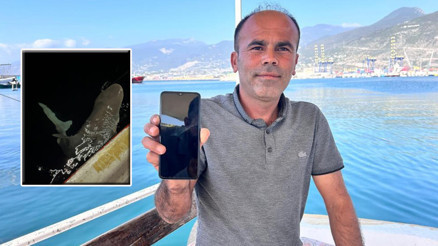 İskenderunda yakalandı Akdenize geri bırakıldı Tam 2 buçuk metrelik...