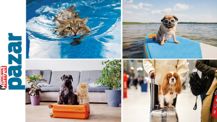 Anca beraber kanca beraber mi Anca beraber kanca beraber mi