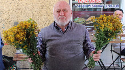 Dağlardan toplayıp pazarda satıyorlar: Faydaları satmakla bitmiyor