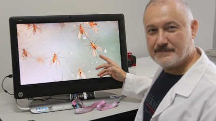 Her yıl 60 bin kişi ölüyor 5 farklı türü tespit edildi En çok sıcak havalarda yayılıyor