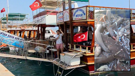 Mersinde 8 köpek balığı görülmüştü Turizmcilerden tepki: Mümkün değil