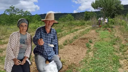 İstanbuldan memlekete dönen iki kardeş, 10 dönümlük arazide salep bitkisi yetiştiriyor