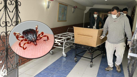 Sivasta sayı 8e yükseldi Kene kabusu devam ediyor