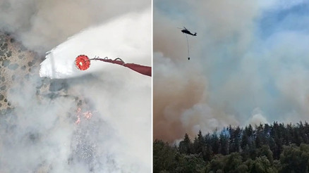 Bursa ve Balıkesirde orman yangını: Havadan ve karadan müdahale ediliyor