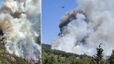 Balıkesir ve Çanakkalede orman yangını: Havadan ve karadan müdahale ediliyor