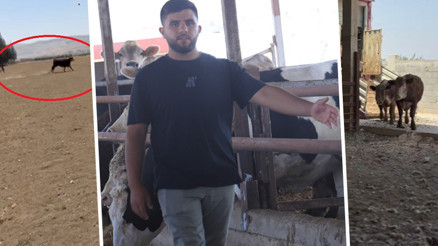 İnsanları düşman gibi görüp saldırıyor | Yurt dışından getirdi, araçtan indirirken elinden kaçırdı