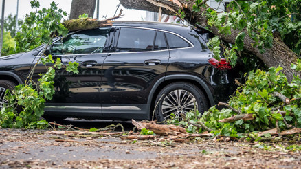 Fırtınada ağaç devrildi 1 kişi öldü