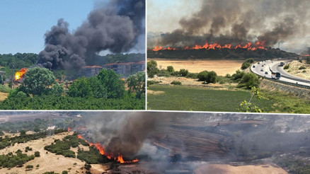 Sakarya, Çanakkale, İzmir ve Uşakta alevlerle mücadele