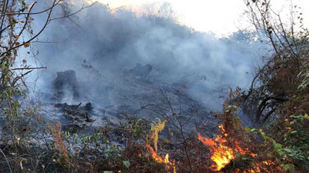 Kuraklığa bağlı orman yangınlarında artış tehlikesi