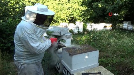 Dedesinin nasihatiyle başladı, şimdi 1 ton bal hedefliyor Dedesinin nasihatiyle başladı, şimdi 1 ton bal hedefliyor