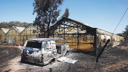 Sakız Adası’nda alevler kontrol altına alındı