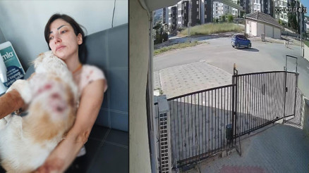 Bursada köpeğini gezdiren kadına başka köpekler saldırdı