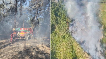 Antalyadaki 2 orman yangınından 1i kontrol altına alındı