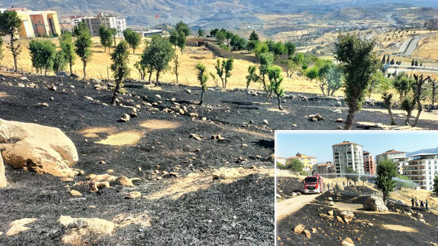 Bahçede menemen yapmak isteyen 3 çocuk yangına neden oldu