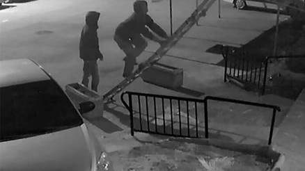 Müzisyenin evine seyyar merdivenle tırmandılar... Tamire bırakılan otomobille hırsızlığa gitmişler