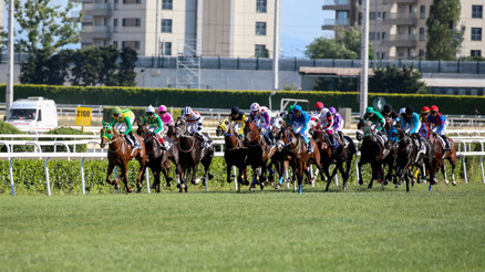99. Gazi Koşusu yarışacak safkanlar ve jokeyler 2025 || 99. Gazi Koşusu saat kaçta başlayacak ve hangi kanalda 99. Gazi Koşusu yarışacak atlar ve jokeyler kimler