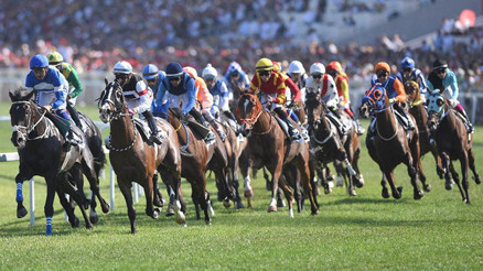 Hipodrom.com Gazi’nin mirasında atçılığın yanında Haliç koşusu ilk kez yapılacak