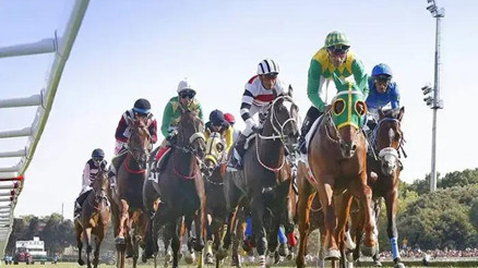 Hipodrom.com Haliç Koşusunda zafer Burgasın