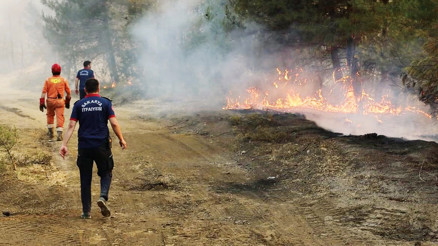 Zümrüt yeşili küle döndü Zümrüt yeşili küle döndü