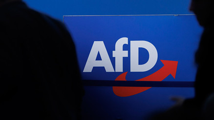 AfD milletvekilinin asistanına hapis cezası