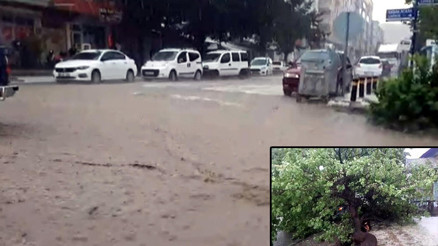 Sağanak nedeniyle caddeler göle döndü Ağaç otomobilin üzerine devrildi