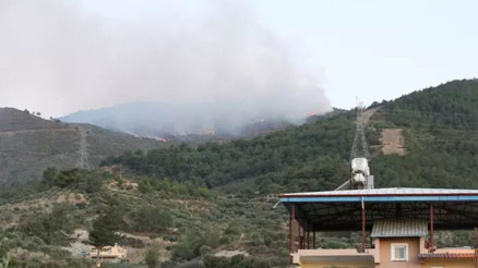 Orman yangınları ile mücadelede son durum