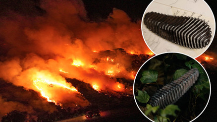 Hayret verici ama gerçek: 150 gramlık icat orman yangınlarının felakete dönüşmesini nasıl önlüyor Türkiye gibi ülkelerde çok işe yarayacak Hayret verici ama gerçek: 150 gramlık icat orman yangınlarının felakete dönüşmesini nasıl önlüyor Türkiye gibi ülkelerde çok işe yarayacak