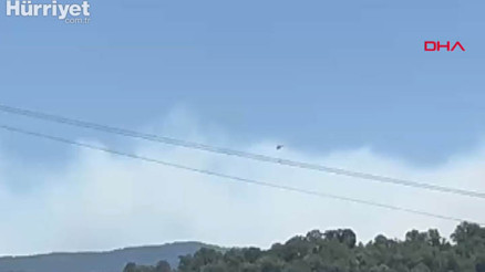 Bursanın 2 ilçesinde orman yangını