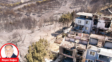 Hasar nasıl karşılanacak Orman yangınlarında sigorta önemli