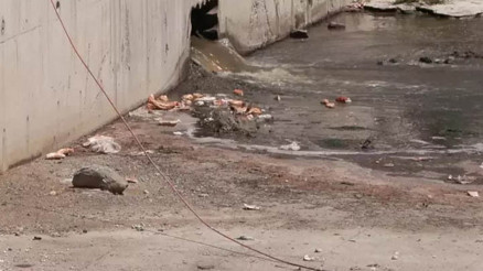 Küçükçekmece’de dereden gelen kokuya mahalleli isyan etti