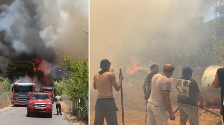 Orman yangınlarıyla mücadele | Antalya, Hatay, Bursa, Edirnede yangınlar kontrol altında... Alevlere turistler müdahale etti