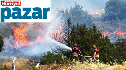 ‘Ormanda insan faaliyeti arttıkça yangınlar çoğalıyor’ ‘Ormanda insan faaliyeti arttıkça yangınlar çoğalıyor’