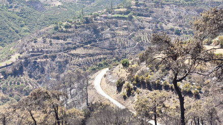 Yangınlar kontrol altında… Yeşilin yerini kül rengi aldı