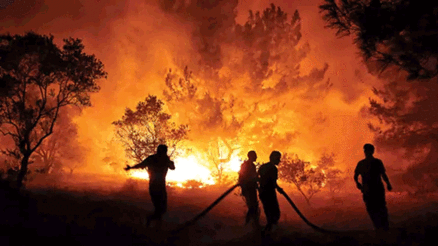 Son 10 günde 761 yangının tamamı kontrol altına alındı