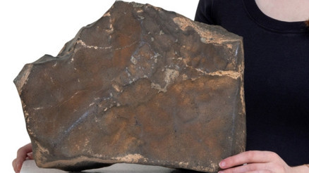 Mars’tan gelen en ağır taş satışa çıkıyor: Fiyatı 4 milyon dolar olabilir